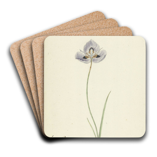 Iris by Cornelis van Noorde Art Drink Coaster set