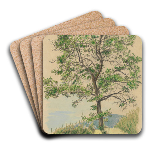 Ohne Titel (Laubbaum und Weg) by Karl Wiener Art Drink Coaster set