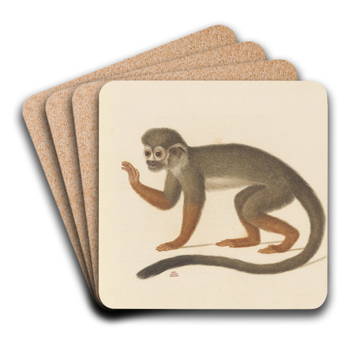 Le Saimiri by Jean-Baptiste Audebert Art Drink Coaster set