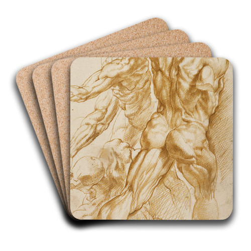 Anatomical Studies by Peter Paul Rubens Art Drink Coaster set