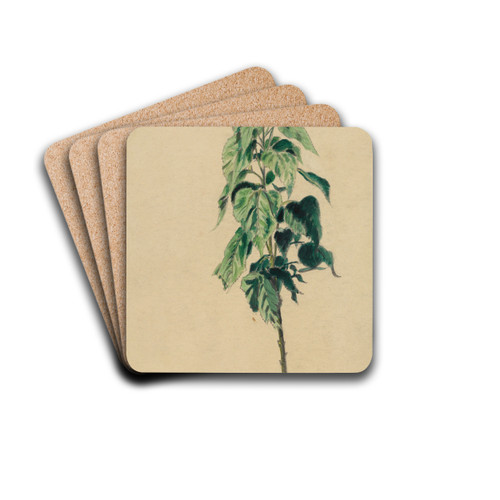Sonnenblume by Karl Wiener Drink Coasters - set of 4