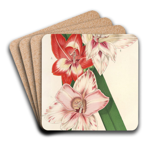 Variets nouvelles de Glayeuls des jardins by Charles Antoine Lemaire Art Drink Coaster set