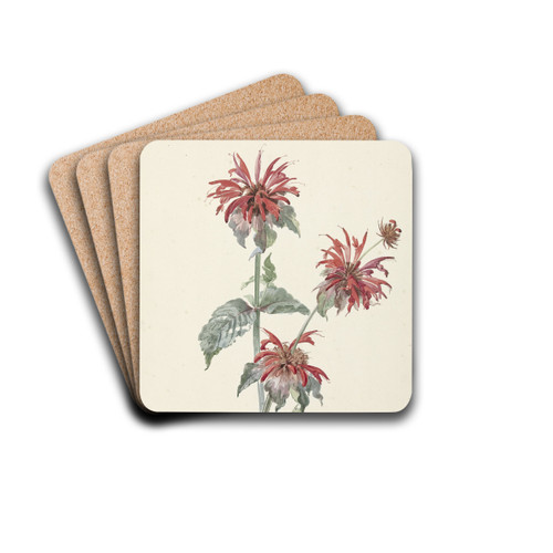 A Red Bergamot in a Landscape by Aert Schouman Drink Coasters - set of 4 A Red Bergamot in a Landscape by Aert Schouman Drink Coasters - set of 4