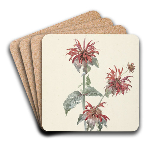 A Red Bergamot in a Landscape by Aert Schouman Art Drink Coaster set A Red Bergamot in a Landscape by Aert Schouman Art Drink Coaster set
