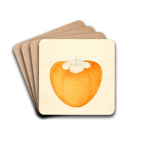 Diospyros: Among by William Henry Prestele Drink Coasters - set of 4