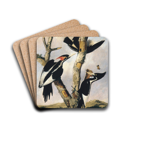 Ivory-billed Woodpeckers by Joseph Bartholomew Kidd Drink Coasters - set of 4