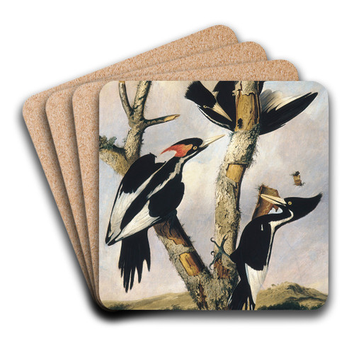 Ivory-billed Woodpeckers by Joseph Bartholomew Kidd Art Drink Coaster set