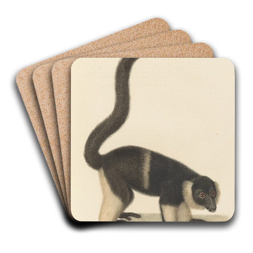 Le Vari varit a by Jean-Baptiste Audebert Art Drink Coaster set