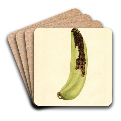 Musa by James Marion Shull Art Drink Coaster set