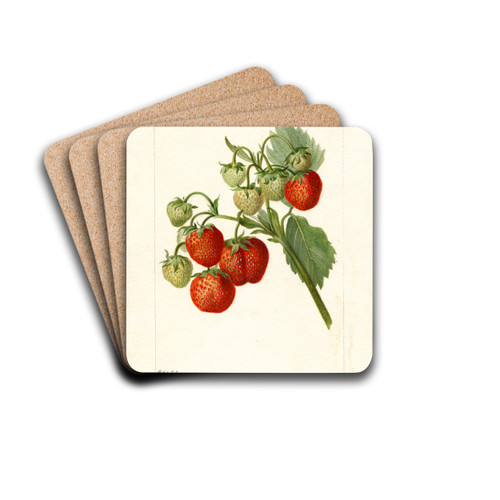 Fragaria: Lehigh by Deborah Griscom Passmore Drink Coasters - set of 4