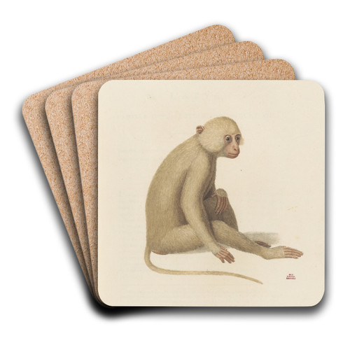 LAtys by Jean-Baptiste Audebert Art Drink Coaster set