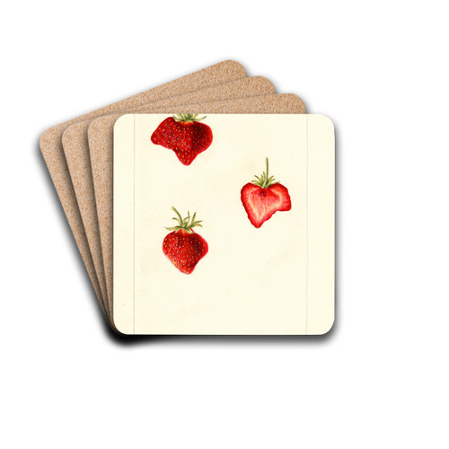 Fragaria: Meeks by Bertha Heiges Drink Coasters - set of 4