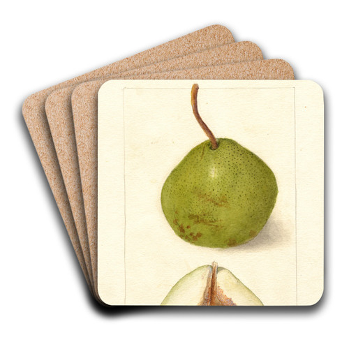 Pyrus communis: Holland by Deborah Griscom Passmore Art Drink Coaster set
