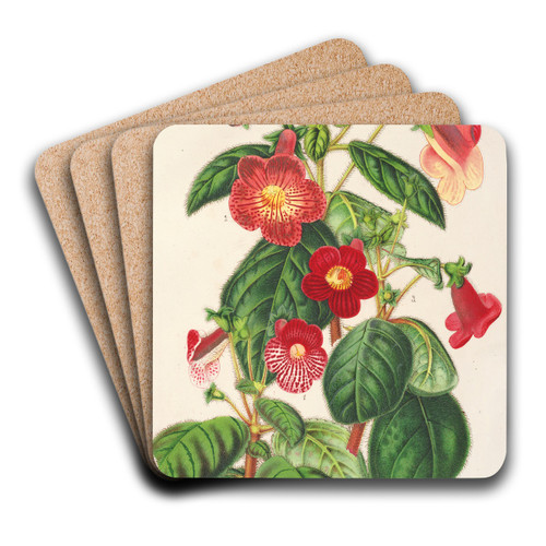 Tydaea by Charles Antoine Lemaire Art Drink Coaster set