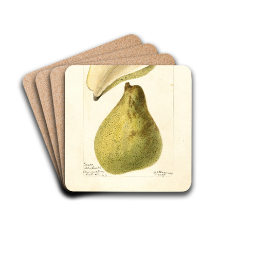 Pyrus communis: Arbre Courbe by Deborah Griscom Passmore Drink Coasters - set of 4
