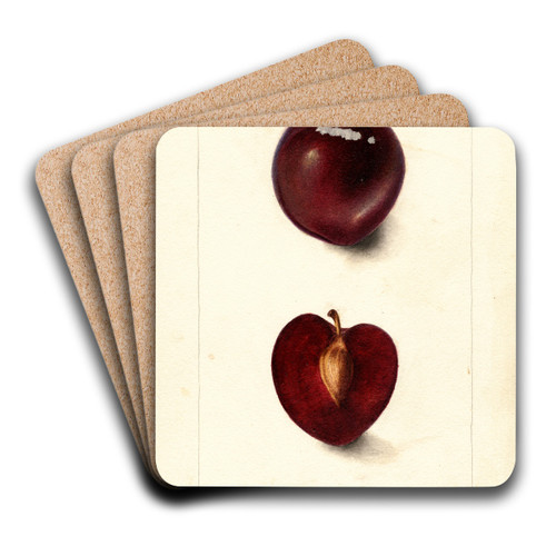 Prunus domestica: Fraud by Deborah Griscom Passmore Art Drink Coaster set