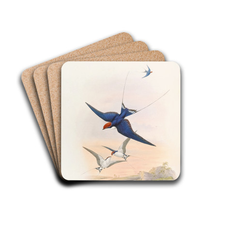 Wire-tailed Swallow by John Gould Drink Coasters - set of 4 Wire-tailed Swallow by John Gould Drink Coasters - set of 4