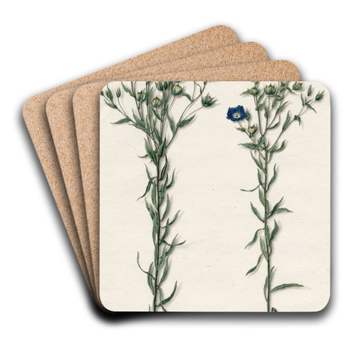 Vlas by Barend Hendrik Thier Art Drink Coaster set