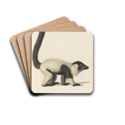 Le Vari by Jean-Baptiste Audebert Drink Coasters - set of 4