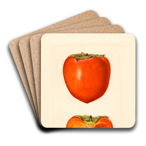 Diospyros: Hachiya by Amanda Almira Newton Art Drink Coaster set