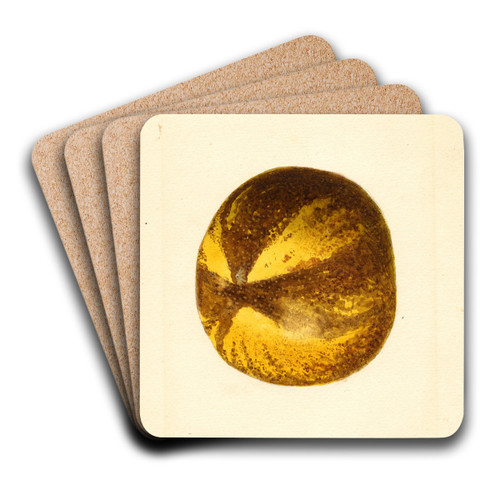 Citrus grandis by James Marion Shull Art Drink Coaster set