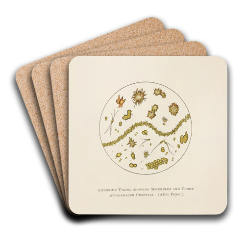 Plate VI: Ammonium Urate, Showing Spherules and Thorn-Apple-Shaped Crystals by Charles Wesley Purdy Art Drink Coaster set Plate VI: Ammonium Urate, Showing Spherules and Thorn-Apple-Shaped Crystals by Charles Wesley Purdy Art Drink Coaster set