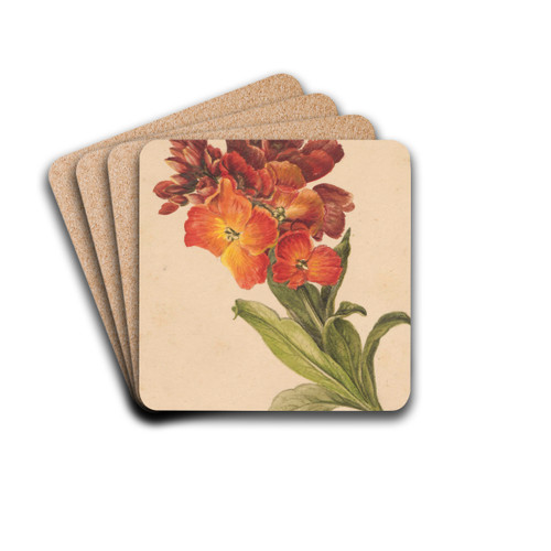 Gazka laku by Henryka Beyer Drink Coasters - set of 4 Gazka laku by Henryka Beyer Drink Coasters - set of 4