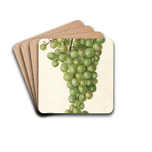 Vitis: Admirable de Courtiller by Bertha Heiges Drink Coasters - set of 4