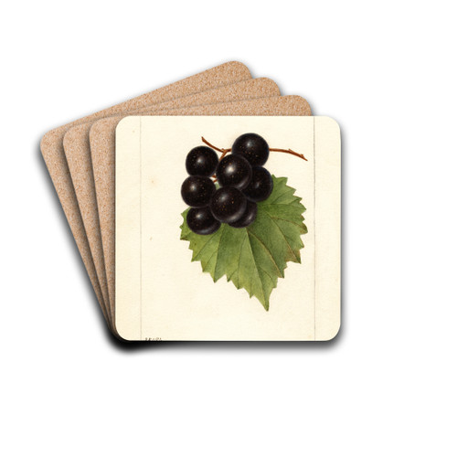 Vitis: Smiths Improved by Deborah Griscom Passmore Drink Coasters - set of 4