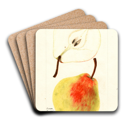 Pyrus communis: Erwin by Bertha Heiges Art Drink Coaster set