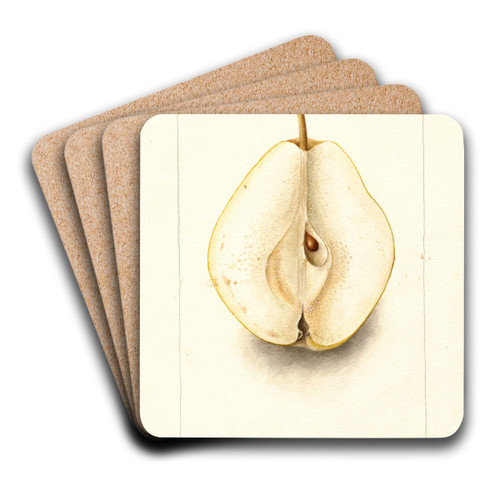 Pyrus communis: Rossney by Deborah Griscom Passmore Art Drink Coaster set
