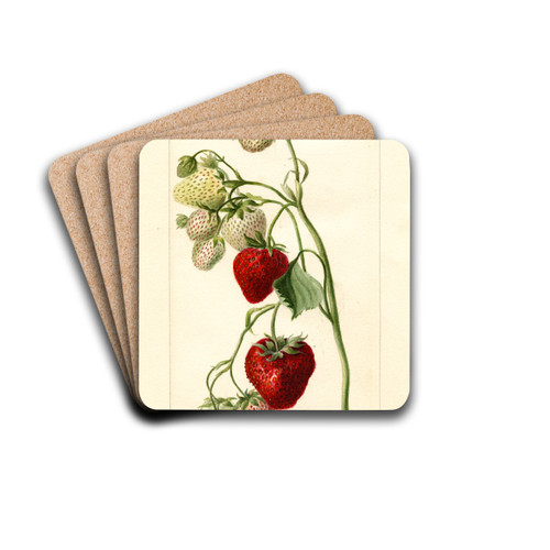 Fragaria: Timbrell by Deborah Griscom Passmore Drink Coasters - set of 4
