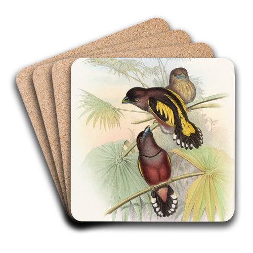 Javan Eurylaime by John Gould Art Drink Coaster set Javan Eurylaime by John Gould Art Drink Coaster set