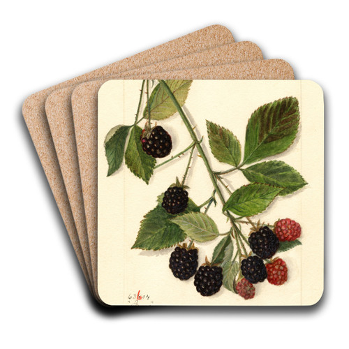 Rubus: Joy by Amanda Almira Newton Art Drink Coaster set