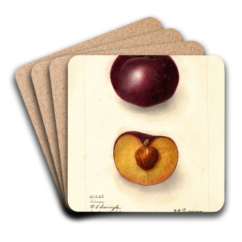 Prunus domestica: Simon by Deborah Griscom Passmore Art Drink Coaster set