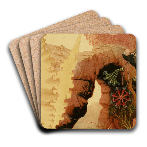 The Aesop Prawn by Philip Henry Gosse Art Drink Coaster set The Aesop Prawn by Philip Henry Gosse Art Drink Coaster set