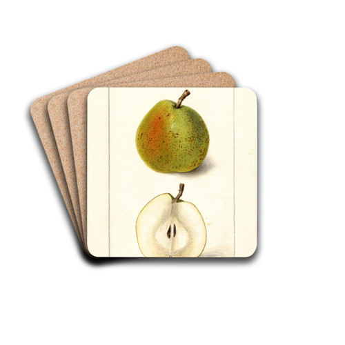 Pyrus communis: Wiest by Deborah Griscom Passmore Drink Coasters - set of 4