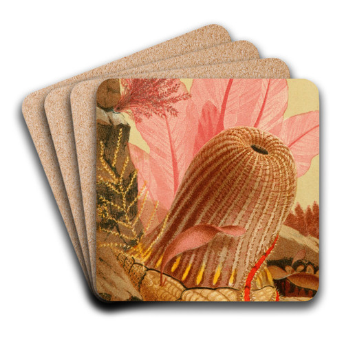 The Parasitic Anemone by Philip Henry Gosse Art Drink Coaster set The Parasitic Anemone by Philip Henry Gosse Art Drink Coaster set