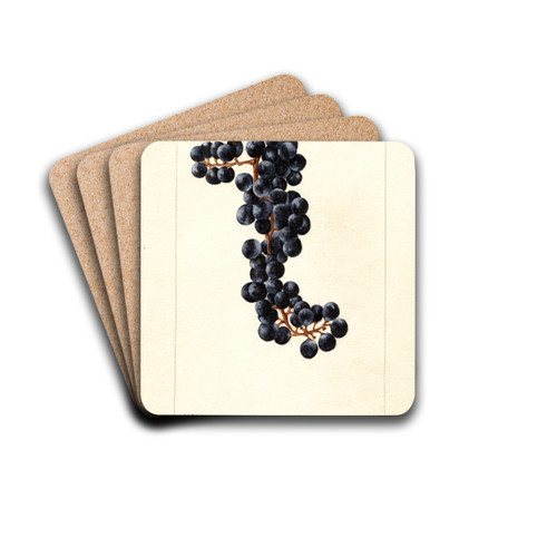 Vitis: No by Bertha Heiges Drink Coasters - set of 4