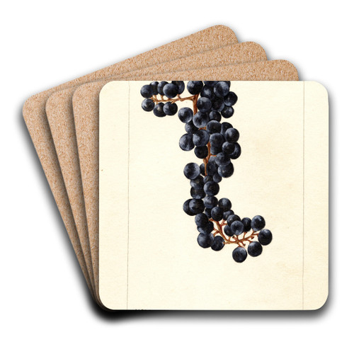 Vitis: No by Bertha Heiges Art Drink Coaster set