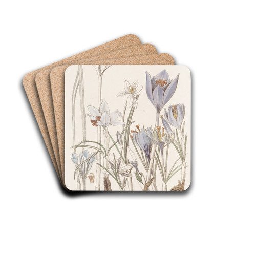 Autumnal Crocuses. by Sydenham Edwards Drink Coasters - set of 4