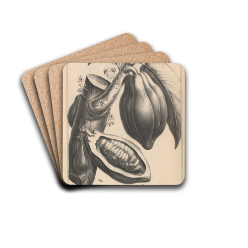 Flore d'Amerique Pl.37 by Etienne Denisse Drink Coasters - set of 4