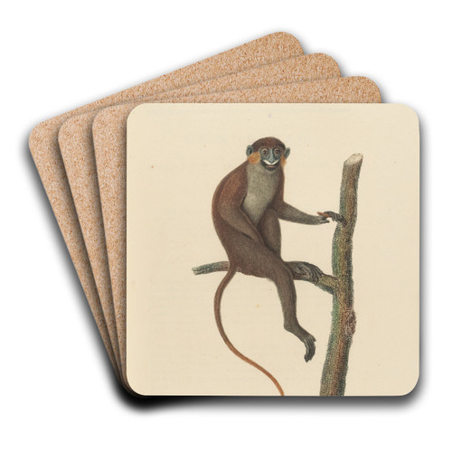 Le Moustac by Jean-Baptiste Audebert Art Drink Coaster set
