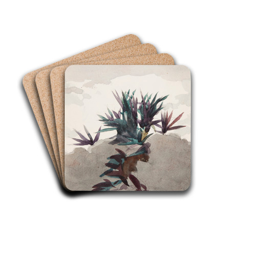 Hillside with Clumps of Maguey by Winslow Homer Drink Coasters - set of 4 Hillside with Clumps of Maguey by Winslow Homer Drink Coasters - set of 4