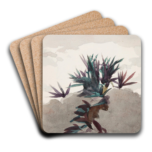 Hillside with Clumps of Maguey by Winslow Homer Art Drink Coaster set Hillside with Clumps of Maguey by Winslow Homer Art Drink Coaster set