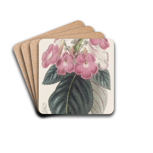 Large-flowered Achimenes by Sydenham Edwards Drink Coasters - set of 4