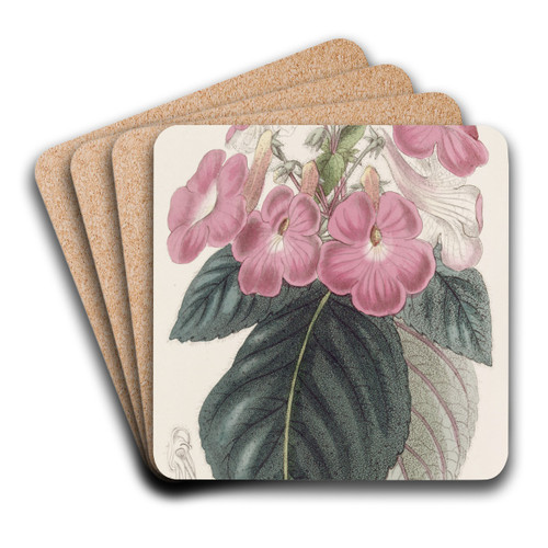 Large-flowered Achimenes by Sydenham Edwards Art Drink Coaster set