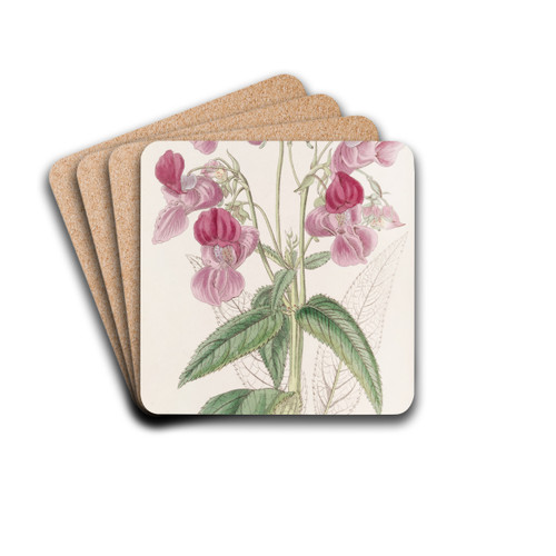 Glandular Balsam by Sydenham Edwards Drink Coasters - set of 4