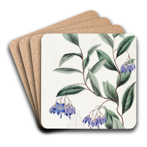 Various-leaved Sollya by Sydenham Edwards Art Drink Coaster set Various-leaved Sollya by Sydenham Edwards Art Drink Coaster set