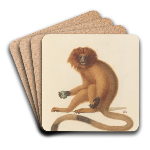 Le Marikina by Jean-Baptiste Audebert Art Drink Coaster set